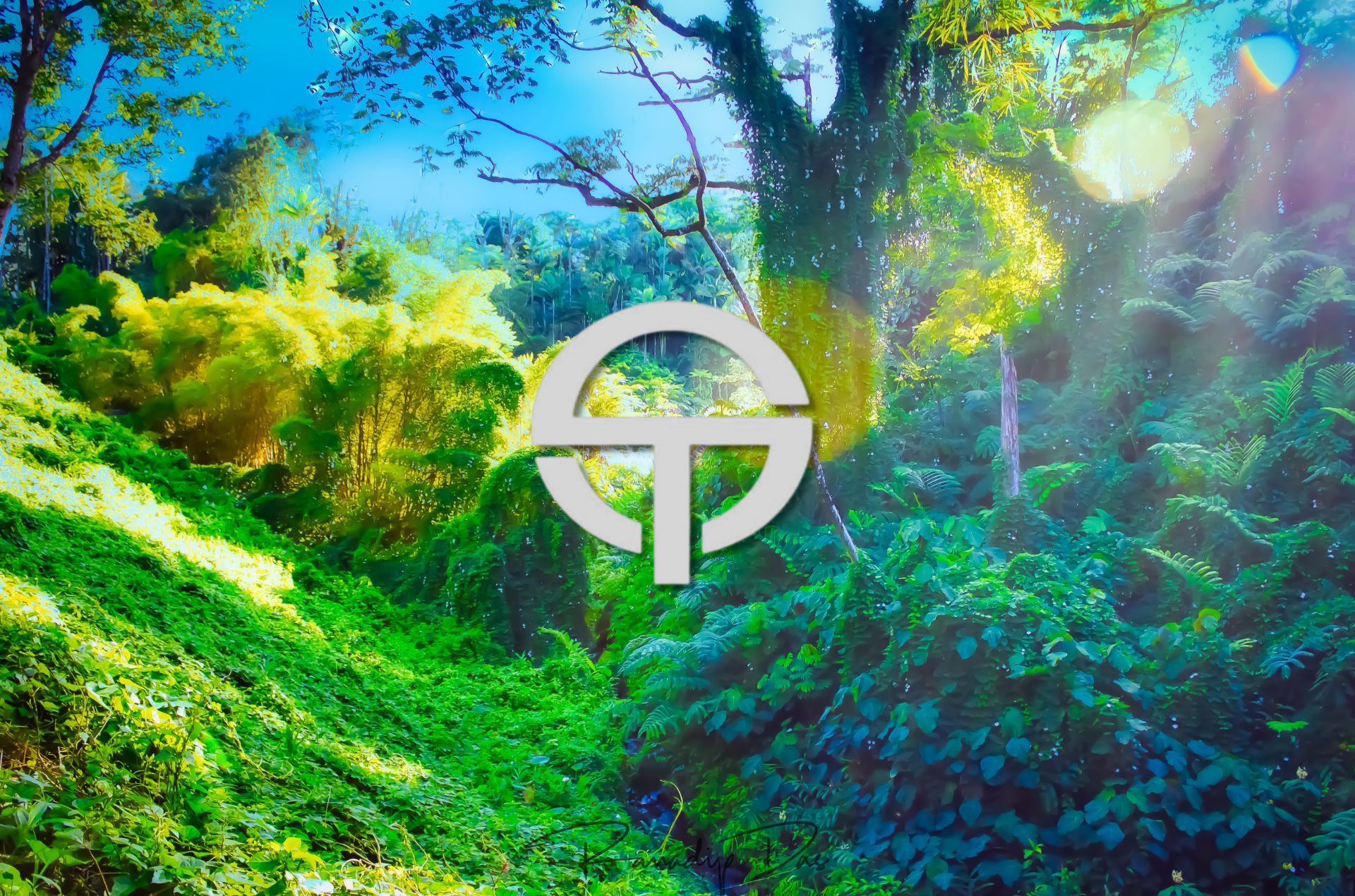 Biological Illumination